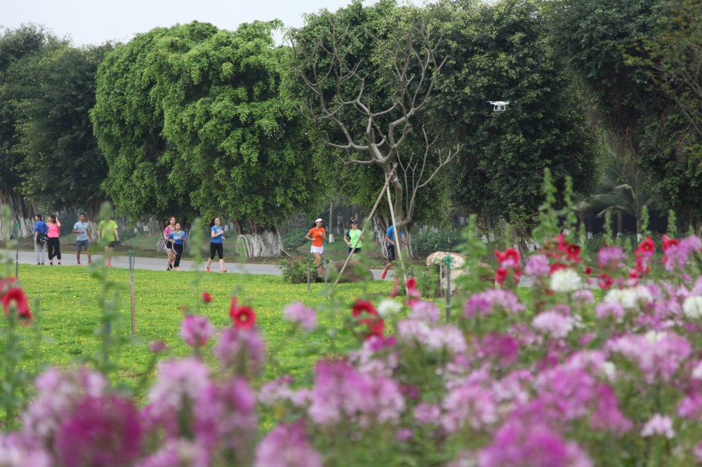 Mở cổng đăng kí Early Bird giải chạy Ecopark Marathon