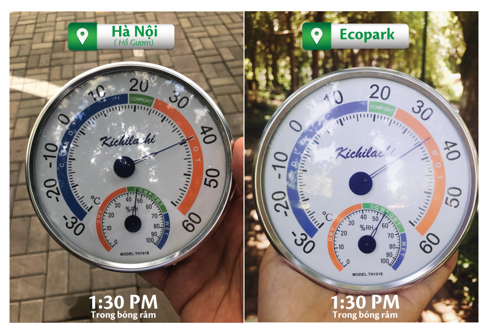 Nhờ cây xanh, nhiệt độ tại Ecopark thấp hơn Hà Nội tới 4 độ C