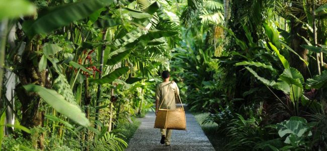 Thiên đường nghỉ dưỡng Bali giữa lòng Ecopark