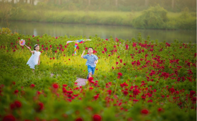 Trẻ em thả diều trong khu vườn hoa. Ảnh: Ecopark cung cấp ảnh không logo